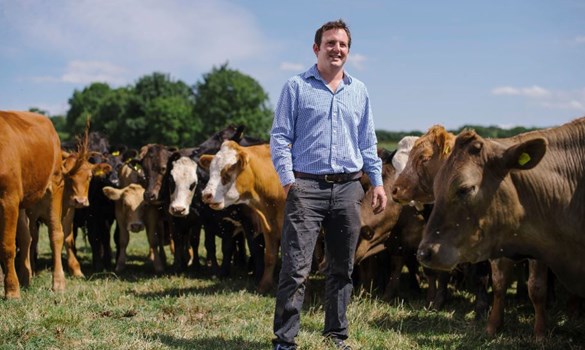 Strategic Farmer, Johnny Haimes, standing in field with cows behind
